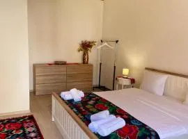 Casa de Vacanta FAMILY & FRIENDS Crit 168