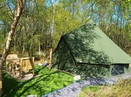 Green woodland bell tent