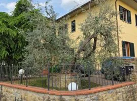 Il Piccolo Oliveto