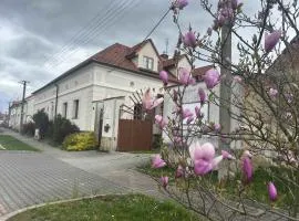 Privát u koní