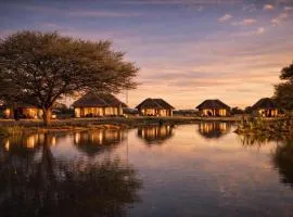 Avenir Safari Group