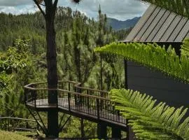 Cabaña Yaguarundi- Sanagua Lodge
