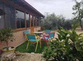 House with History, Nature and Tradition near Tirana