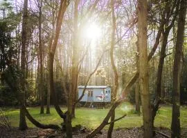Goosewing Hut-Qu7072