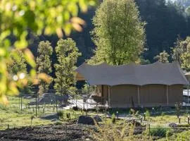 Saraaya Glamps, Dharamshala