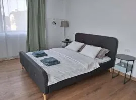 Uniria Studio Balotești near Therme and Airport Free Private Parking, Balcony, Netflix