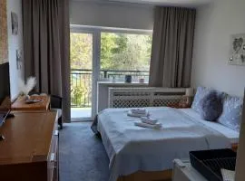 Studio apartment 111 - High Tatras