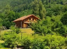 Chalet des Charbonniers, étang