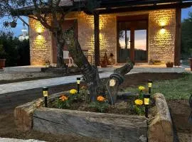 Museum Draginë-Guest House