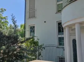 Beautiful place to stay in Elvis City