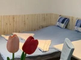 Pihenő Apartman Gyula