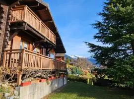 Chalet chaleureux - vue montagnes Grand Massif