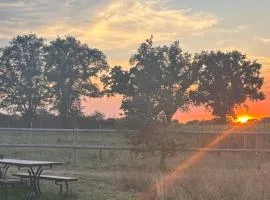 Havre de paix au cœur d'un domaine équestre