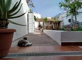 Susa and Pepe garden and house