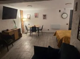 Apartament Nova Kamienica - Studio