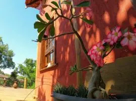 Escalarte - Gruta da Lapinha