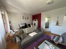 Ferienwohnung Frankenhäuser