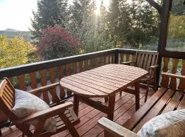 Ferienhaus Kleine Auszeit- Haus am Buchschirm -Hunde Willkommen