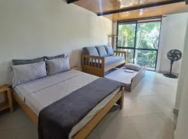 Loft da Árvore