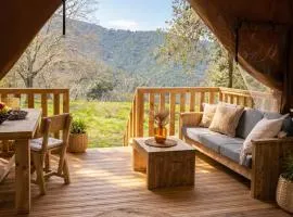Éco-lodge, tente au cœur d'une forêt nourricière