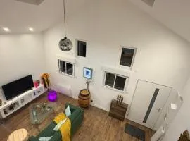 Loft atypique au cœur de la ville