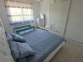 Struga Alpha House