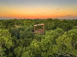 Treehouse Tulum H2Ojos