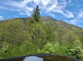 Alpine Studio near Bad Ischl#2