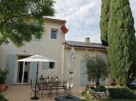 Petit mas de village près d'Avignon vue pinède