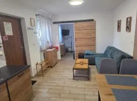 Apartament Nova Kamienica 1