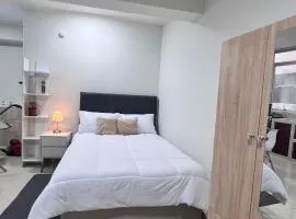 Monoambiente elegante ,moderno y luminoso