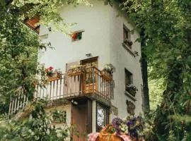 Il Roccolino