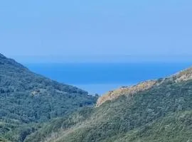 Lumira Vista Panorama