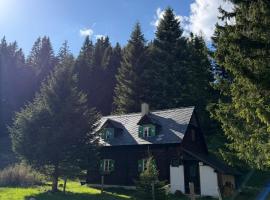 Almhütte am Steirischen Seeberg, Hotel in Turnau