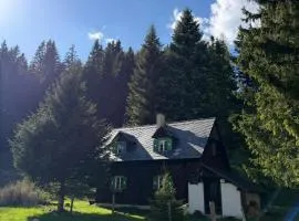 Almhütte am Steirischen Seeberg