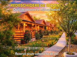 La Podul Gornii, ξενοδοχείο σε Gornea