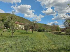 Apartmani Deda Zarkova Vodenica, hotel a Ćuštica