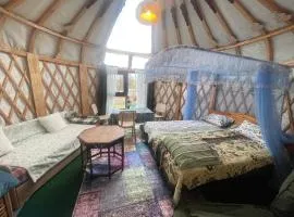 Unique Mongolian Yurt near lake together with guest house