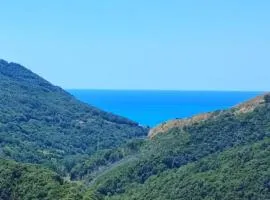 Lumira Vista Panorama