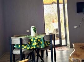 Guest Hause Aspindza, hotel a Aspindza