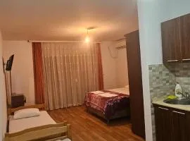 Apartments Mano
