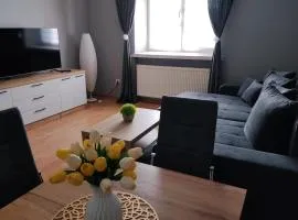 Apartament Ogrodzieniec