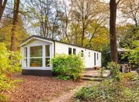Modern chalet in bosrijke omgeving