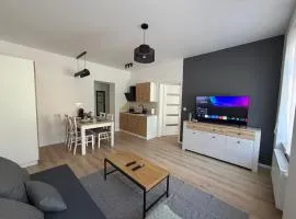 Apartament between the bridges II