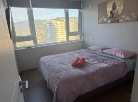 Vanguardia Centro