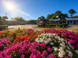 Jolly Knight Motel, hotel 