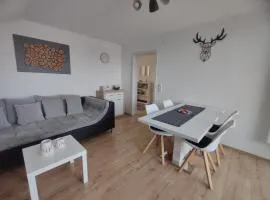 Ferienwohnung "Zur alten Schreinerei" Gundelfingen - Donau