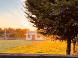 La Ovejera Panguipulli