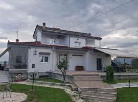 Alesta Apartment