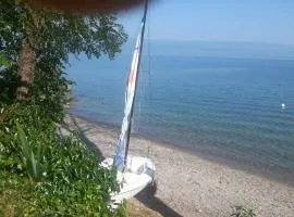 Au bord du Lac Léman